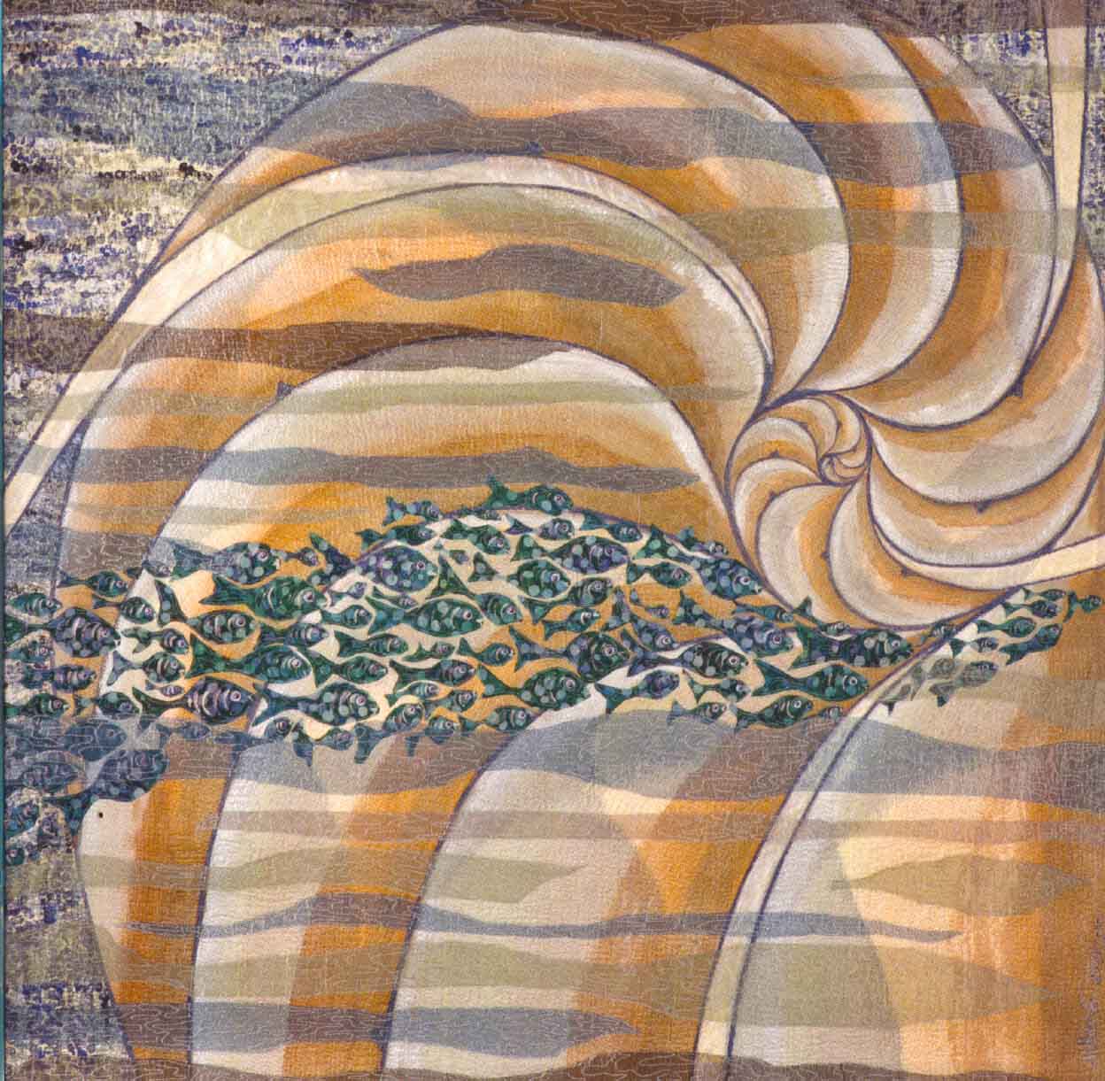 Nautilus