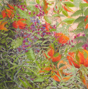 Lilium Henry (detail)
