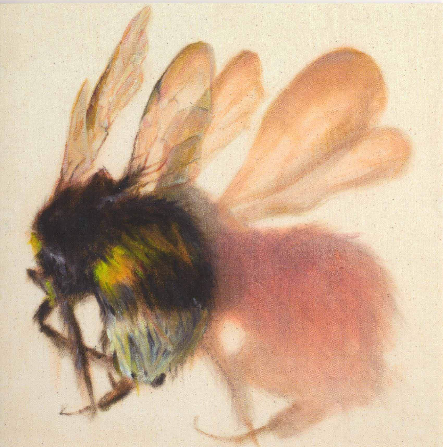 Hommel II