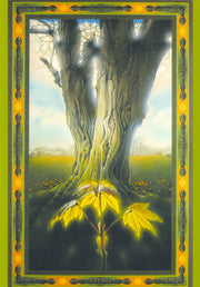 Vernieuwing (Jonge esdoorn en oude acacia)