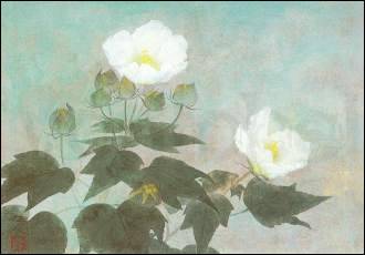 Confederate roses