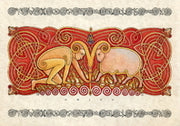 Aries - UHA