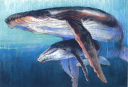 Walvis met jong