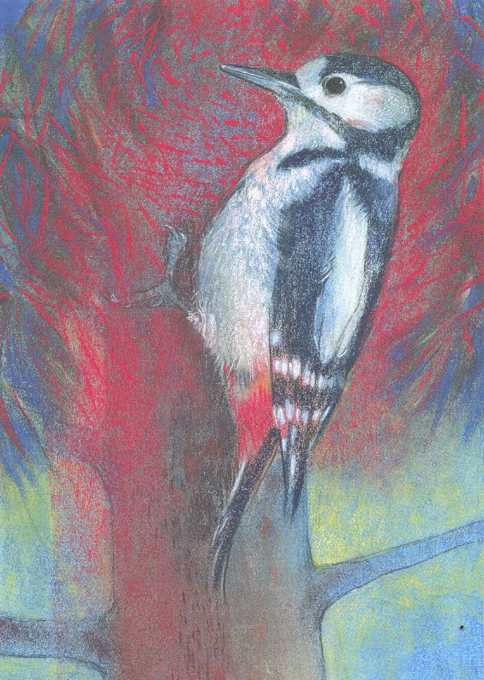Klein vogelboek 1-Bonte specht