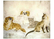 Honden en katten