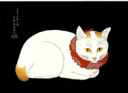 Cat with a red collar