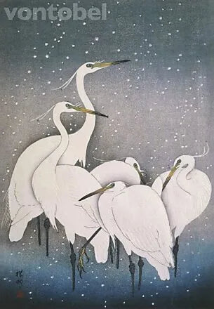 Een groep reigers