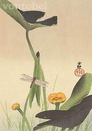 Libelle en lotus (detail)
