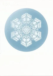 Ster-sneeuwvlok no. 10 (ca. 1890) duplicated