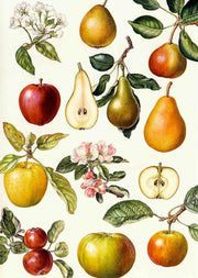Appels en peren