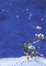 Winter sky