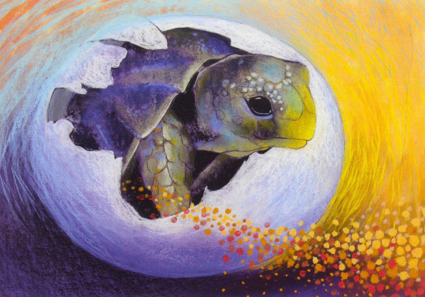Klein babydierenboek 1-Schildpad
