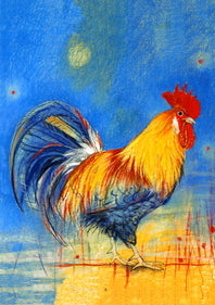 Haan in blauw