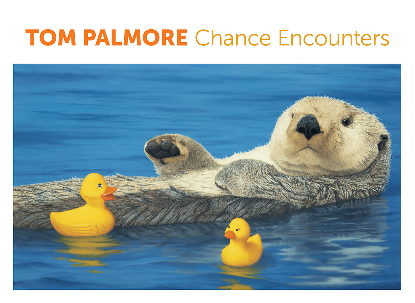 Chance encounters