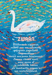 Zwaan - Tekstkaart