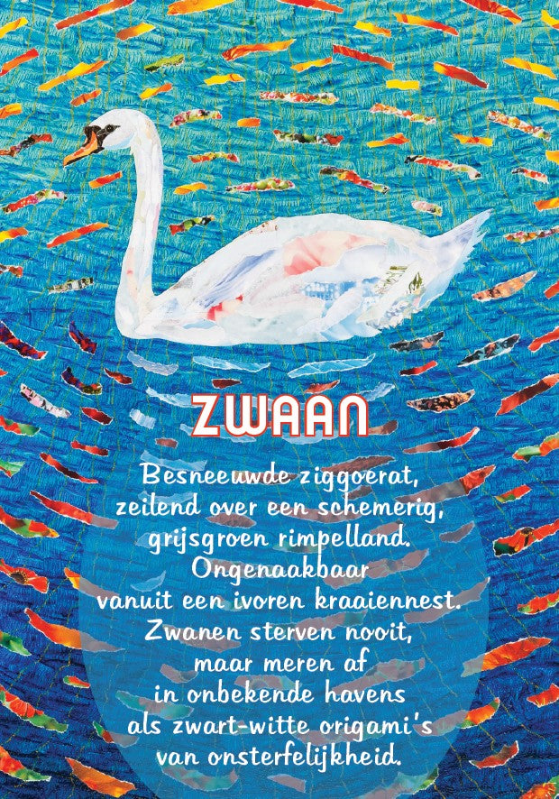 Zwaan - Tekstkaart