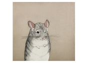 Beth Van Hoesen