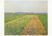 De omgeving van Gennevilliers, gele velden