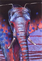 Olifant