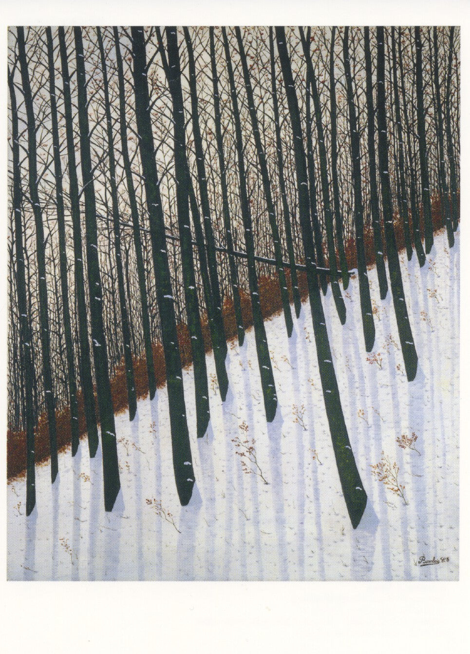 Het woud: winter - Camille Bombois
