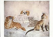 Honden en katten