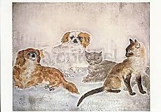 Honden en katten