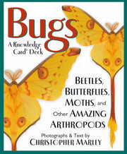 Bugs