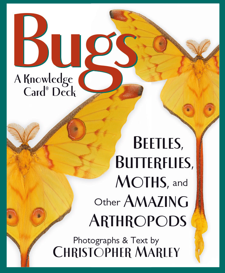Bugs