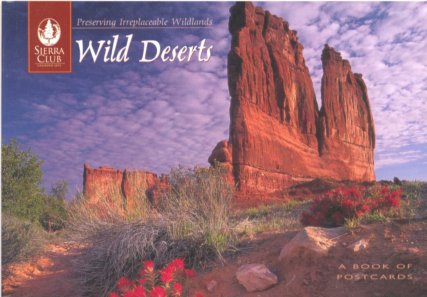 Wild deserts