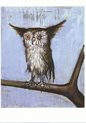 De uil