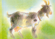 Dieren 3 - Bokje
