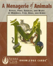 A menagerie of animals