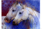 Twee paardenhoofden