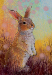 Hallo vriend!