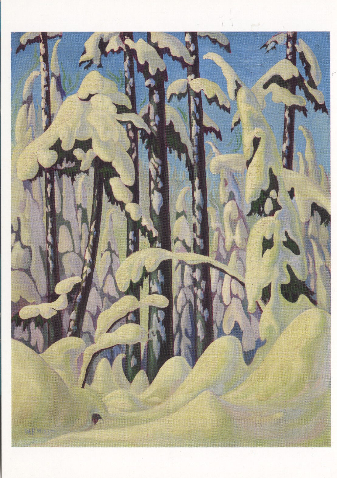 Winter trail, Grouse Mountain
