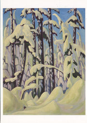 Winter trail, Grouse Mountain