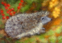 Egel - Wollbild