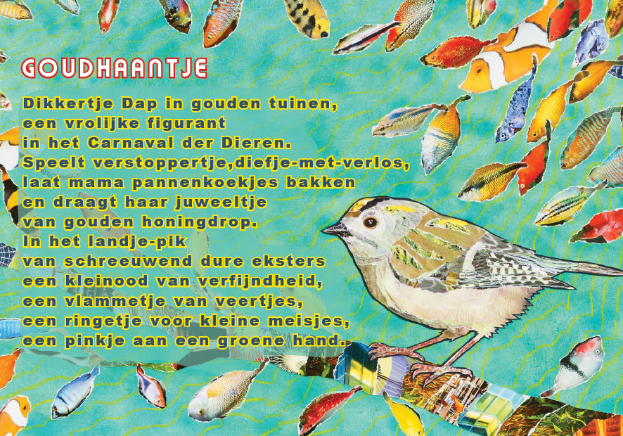 Goudhaantje