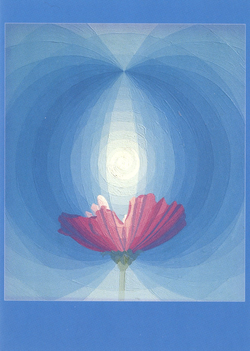 Bloemkelk