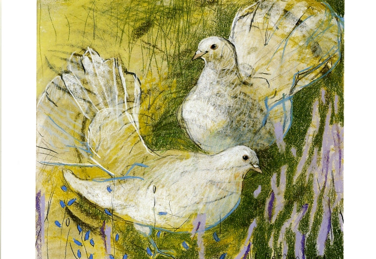 Witte duifjes - Postkaart