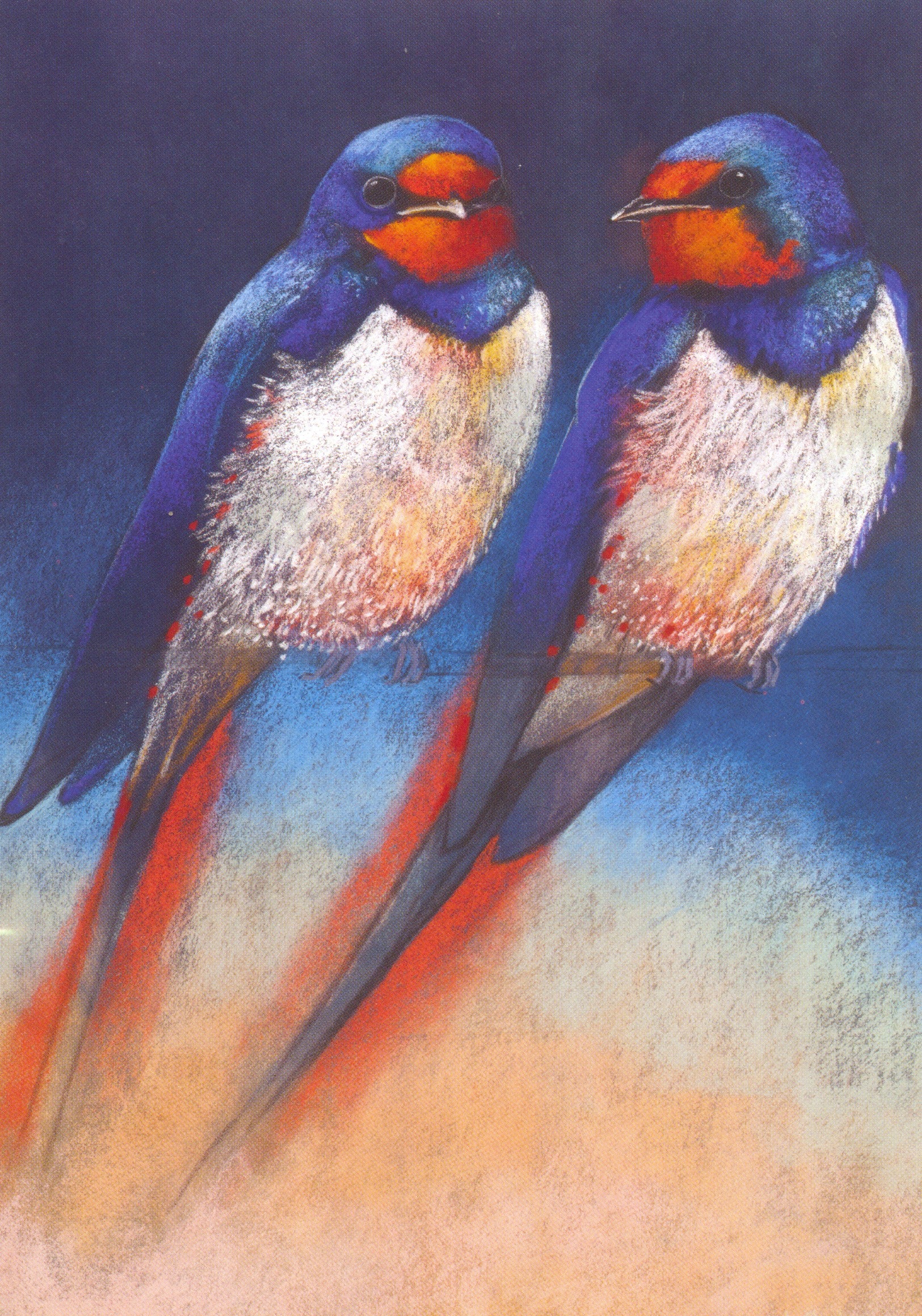 Twee zwaluwen