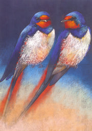 Twee zwaluwen