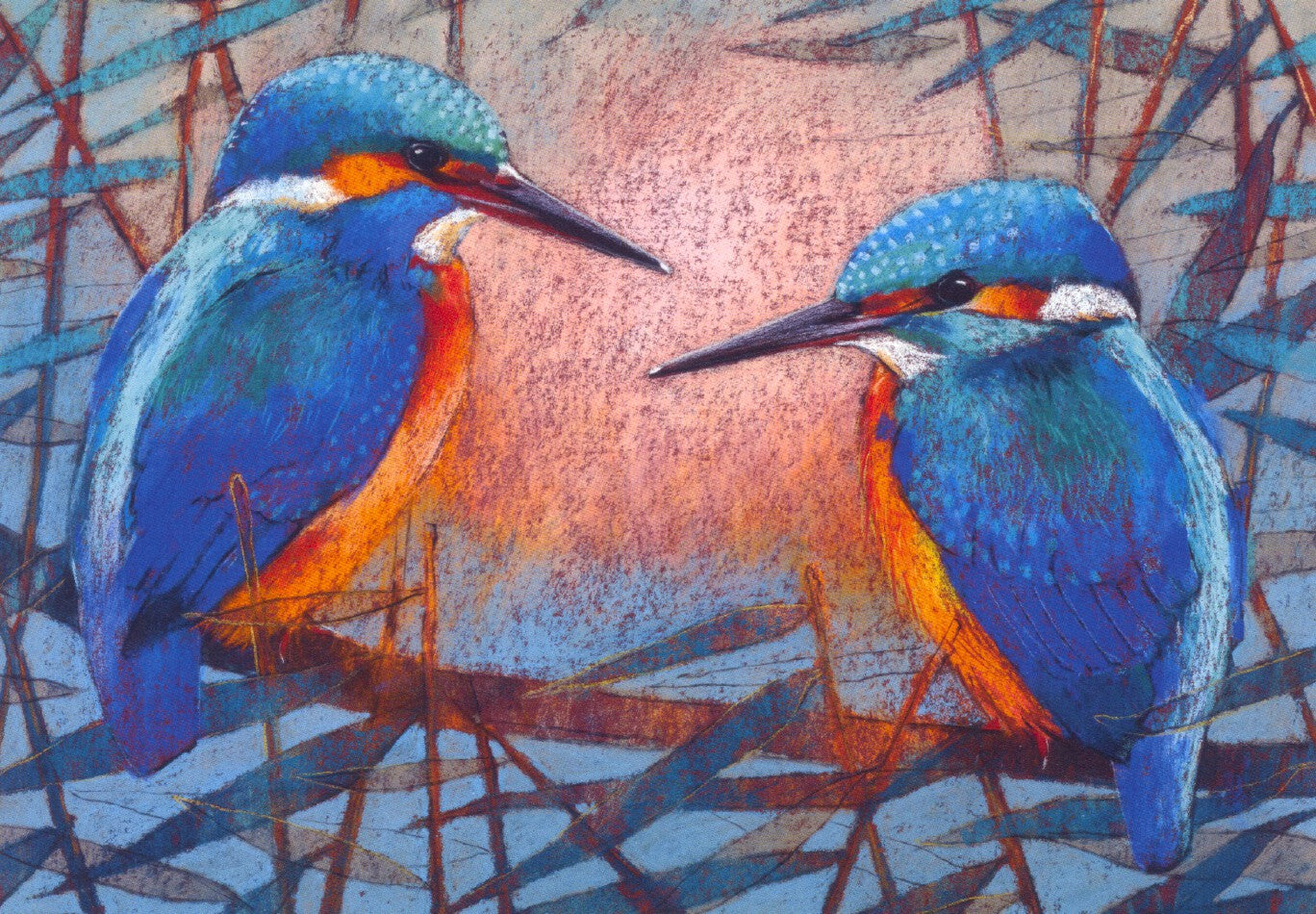 Twee ijsvogels