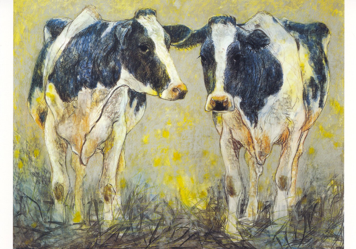 Twee koeien