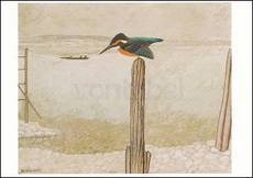 IJsvogel