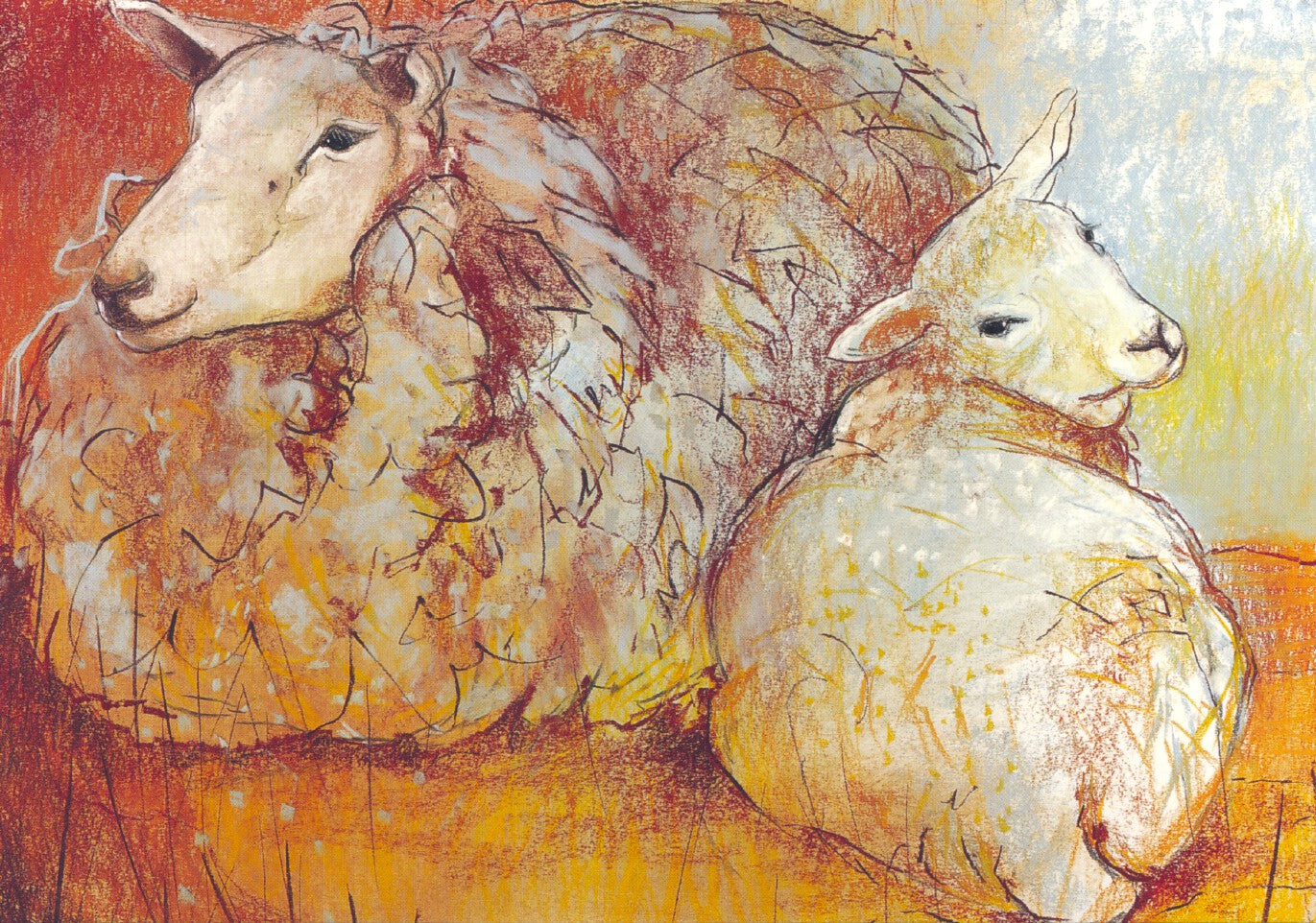 Schaap en lam