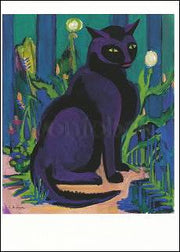 Zwarte kater