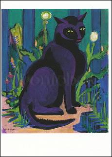 Zwarte kater