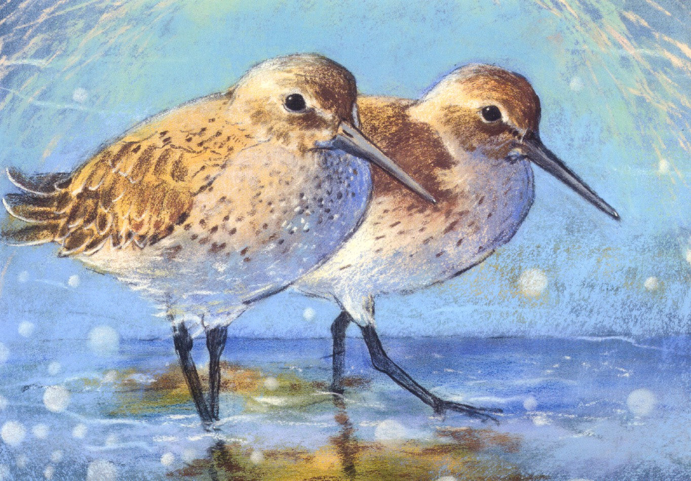 Strandlopertjes