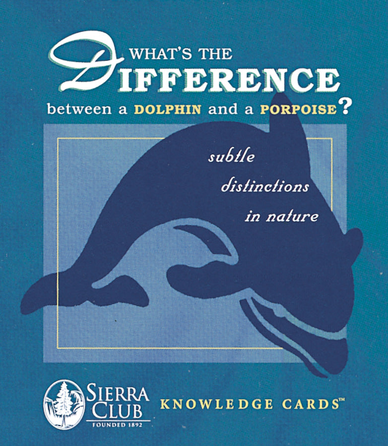 What's the Difference between a dolphin and a porpoise? - Subtle distinctions in nature